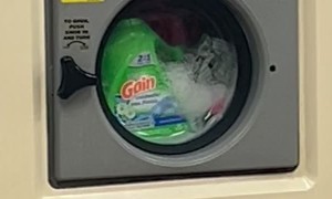 Detergent Bottle Washed At Laundromat