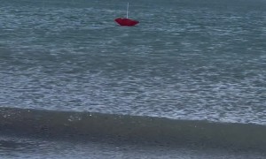 Ocean Claims Beach Umbrella