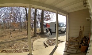 Dog Greets FedEx Driver