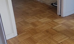 Tiny Truck Tows French Bulldog