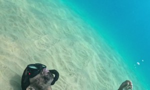 Snorkeler Swims Through Blown Bubble