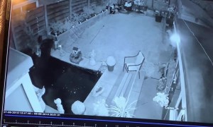 Grandma Goes For A Late Night Dip