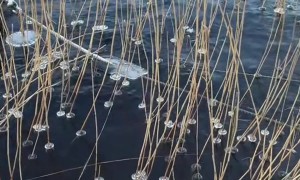 Ice Rings Dance In Shifting Water
