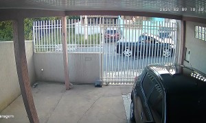 Apparent Hit and Run Head On Collision