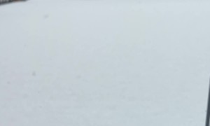 Heavy Snow in Toronto