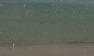 Snow Falls On Florida Beach