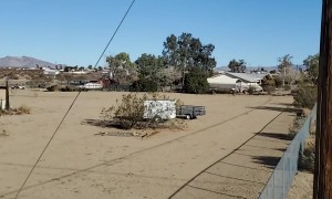 Cable Technician Saves Cat From Trunk Amp