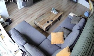 Cat Climbs Wall To Examine Security Camera