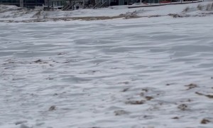 Snow Blankets Virginia Beach