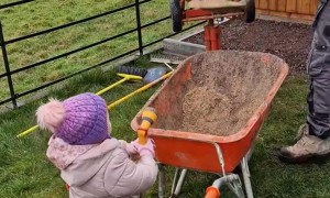 Youngster Helps With Landscaping