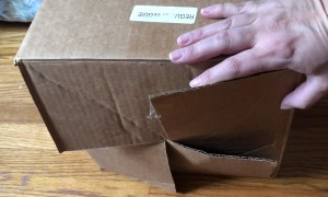 Cat Traps Itself In A Closed Box