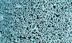 Floating Ice Pancakes on Lake Michigan