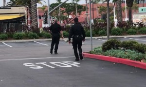 Whole Foods Shoplifter Sucker Punches Security Pulls Knife