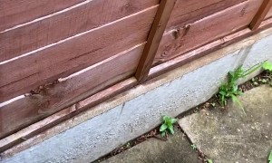 Someone’s Excited to See Me