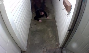 Black Ice Fall Causes Concussion