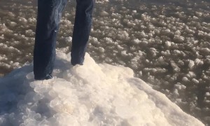 The Pants are All That Was Left