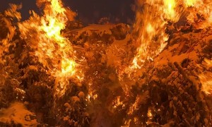 Firefighter Starts Christmas Tree Blaze