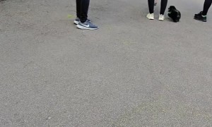 Tiny Puppy Gets Micro Zoomies