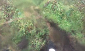 Equestrian Disoriented After Rotational Fall