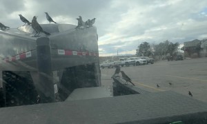 I Feel Like This is an Omen