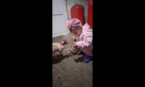 Putting Lipstick on a Chicken