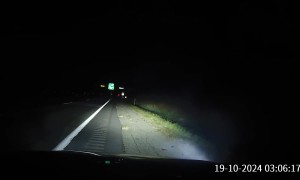 Car Punctures Tire On Hit Deer's Antlers