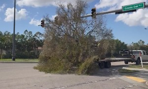 Truck Drags Tree Down Road