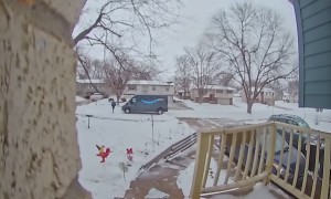 Delivery Driver Haphazardly Tosses Package at Doorstep