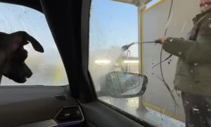 Italian Greyhound Barks At Car Cleaning Hose