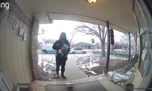 Dog Breaks Window Screen When Delivery Man Arrives