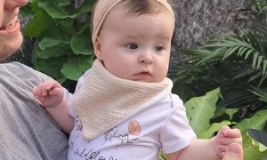 Butterfly Finds Prettiest Flower