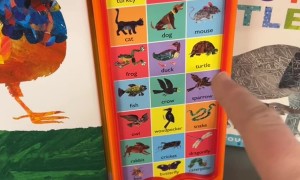 The Sound Caterpillars Make