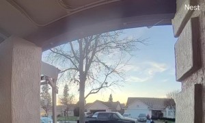Young Boy Makes Wholesome Apology to Doorbell Camera
