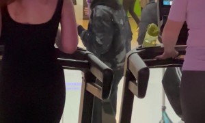 Bro Eats Sandwich And Watches Gym Windows