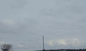 Flock Of Sandhill Cranes Fly Above Indiana Home