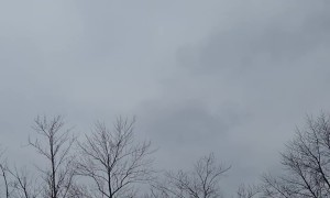 Thousands Of Crane In Great Migration