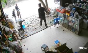 Three Lives Saved by Tree