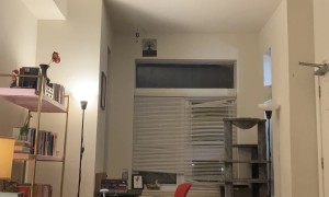 My Cat Wasn't Satisfied With the Speed of My Dropback