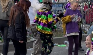 Elder Mardi Gras Reveler Does Cupid Shuffle