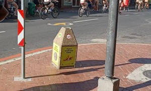 Nudists Ride Bikes Through Cape Town