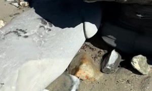 Suspicious-Looking Rock Found on Beach