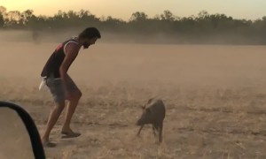 Pig Runs Between Man's Legs