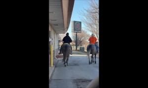 Cowboys Order Drive-Thru