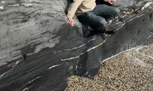 His Spidey Senses Were Tingling