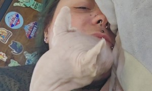 Sphynx Cat Tugs On Piercings
