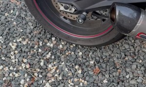 Motorcycle Pops Corn Kernels Hidden By Animals