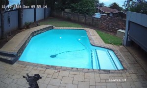 Car Comes Through Wall