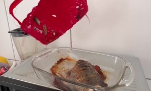 Fish Baking Fail Leaves Lid Melted