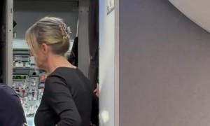 Passengers Spar On Flight Over Body Size