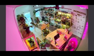 Woman Ignites Hair With Candle